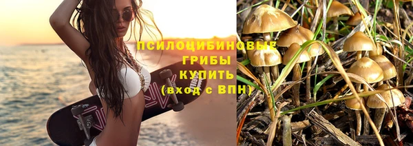 PSILOCYBIN Переславль-Залесский