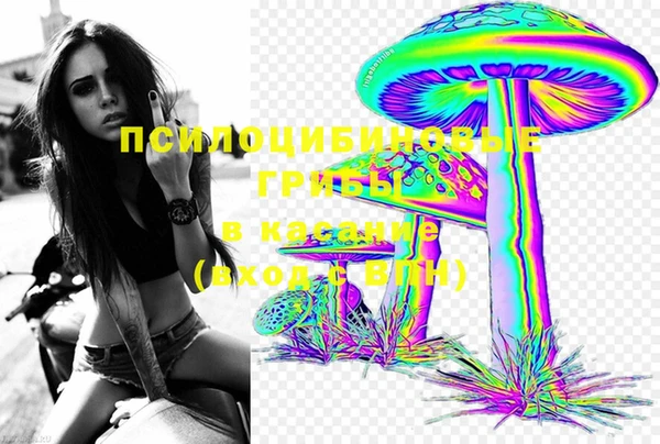 молекула духа Осинники