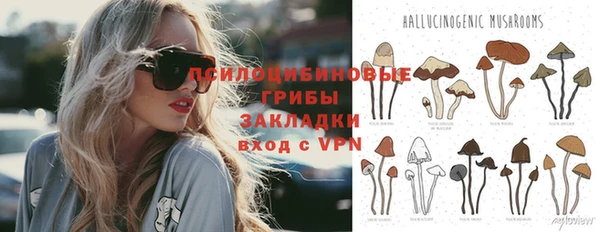 PSILOCYBIN Переславль-Залесский