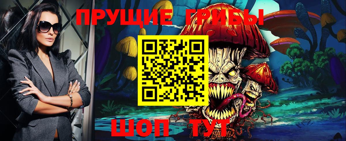 Псилоцибиновые грибы Psilocybe Губаха