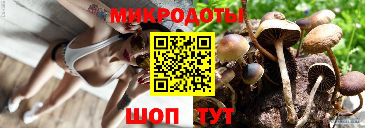 наркошоп  Вход с VPN  Галлюциногенные грибы ЛСД  Губаха  Галлюциногенные грибы GOLDEN TEACHER 