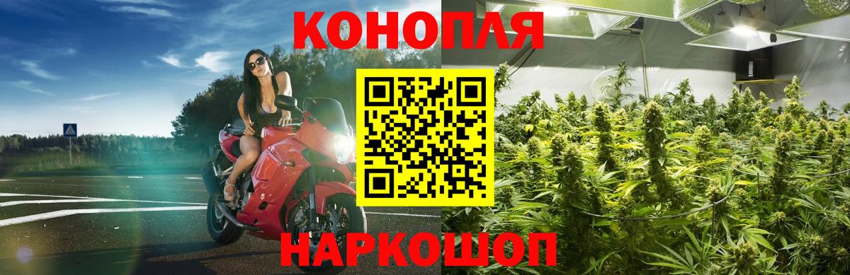 Конопля AK-47  Каннабис SATIVA & INDICA  Конопля планчик  Губаха  Шишки марихуана конопля 
