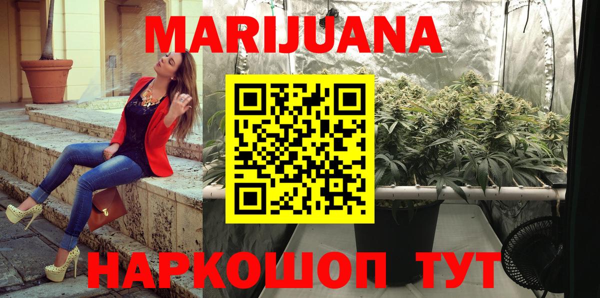 МАРИХУАНА сатива Губаха